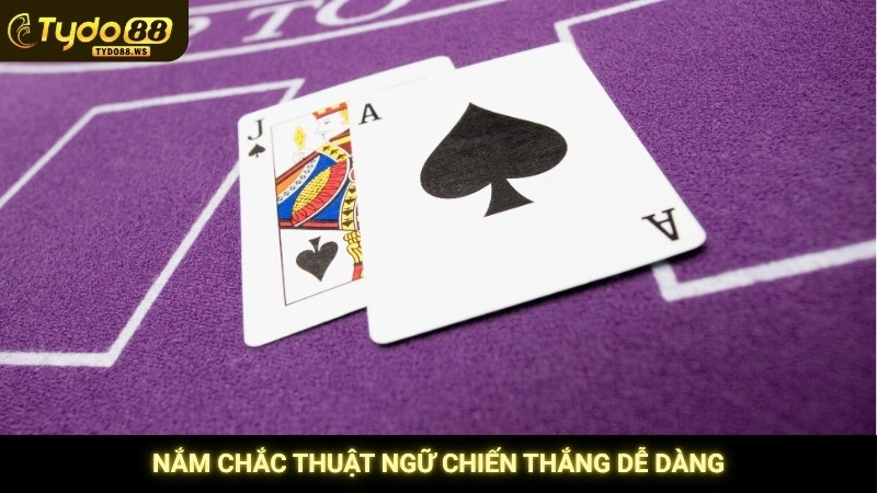 Blackjack Tydo88 - Hướng dẫn cách chơi & kéo bài thông minh 3 Nắm chắc thuật ngữ chiến thắng dễ dàng