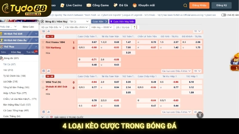 Cá cược bóng đá - Hướng dẫn chơi cho người mới tại Tydo88 3 4 loại kèo cược trong bóng đá