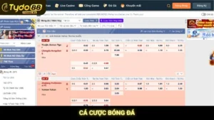 Cá Cược Bóng Đá Tydo88