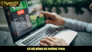 Cá độ bóng đá không thua