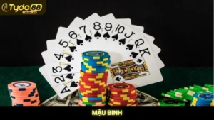 Mậu Binh Tydo88