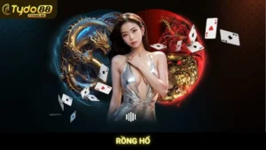 Rồng Hổ Tydo88