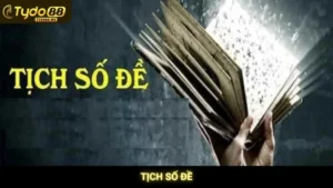 Tịch Số Đề